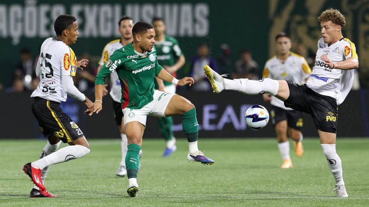 Novorizontino x Palmeiras: quanto paga a zebra na decisão?