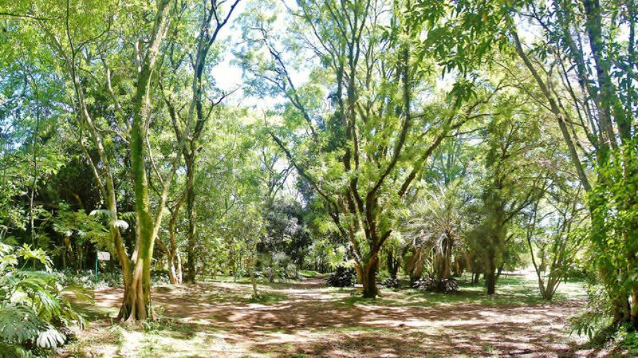 o Jardim Botânico de Porto Alegre possui uma área de 39 hectares. Atualmente, é considerado um dos cinco maiores jardins botânicos do Brasil 