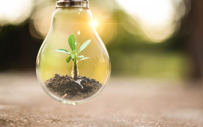TÜV Rheinland reconhece Siemens Brasil em Sustentabilidade TÜV Rheinland reconhece Siemens Brasil em Sustentabilidade