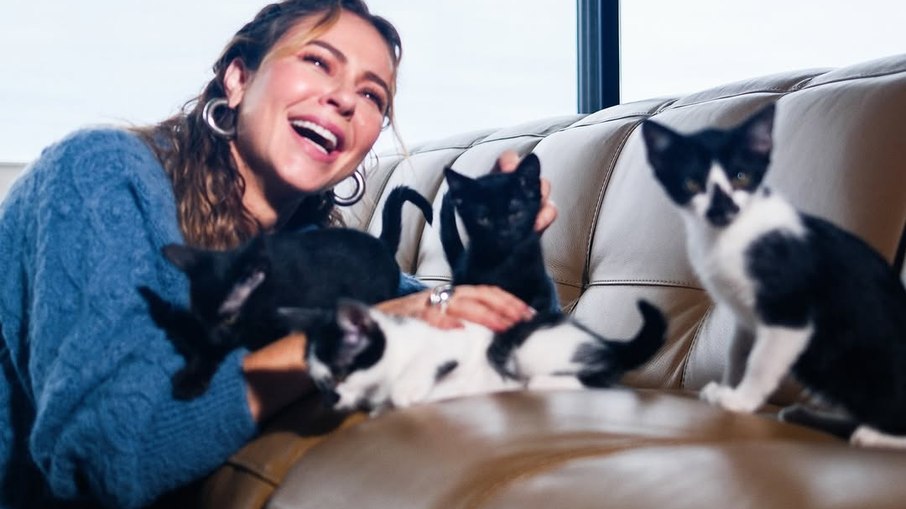 Paolla Oliveira se diverte com felinos no sofá Paolla Oliveira se diverte com felinos no sofá