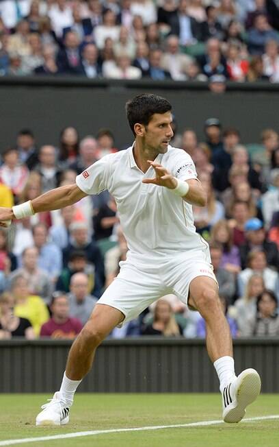 Números não mentem: Djokovic é o maior tenista de todos os tempos