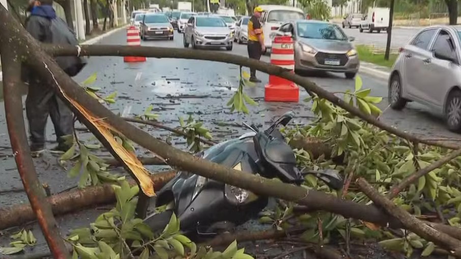 Árvore caiu em moto Árvore caiu em moto