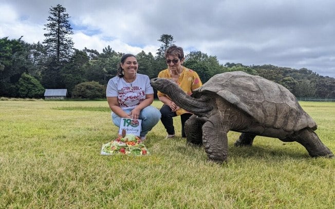 Tartaruga Jonathan: conheça o animal terrestre mais velho do mundo