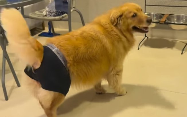 Dh1a77nv1yp6b3a2a0tj4dsnh