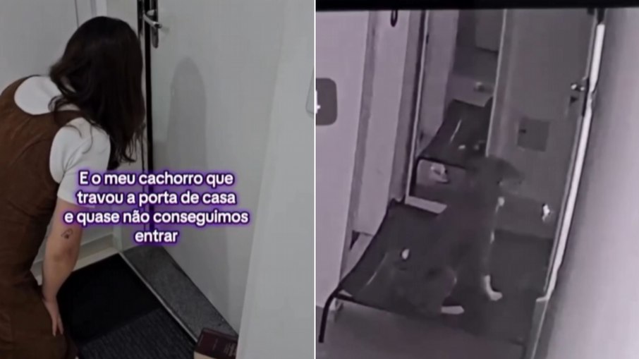 Cachorro tranca donos para fora de casa Cachorro tranca donos para fora de casa