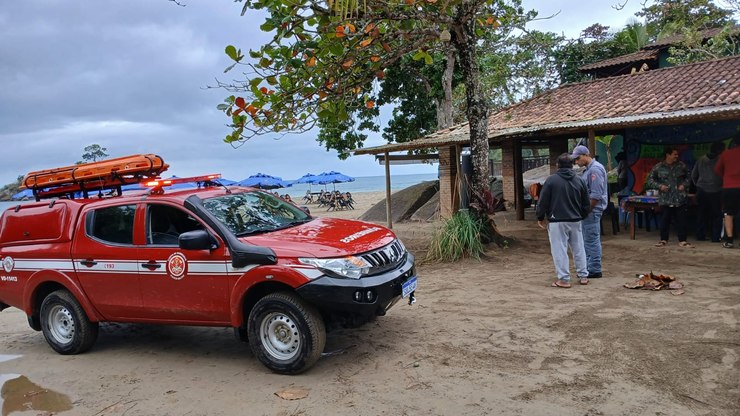 Pinguim debilitado é resgatado na Praia das Palmeiras