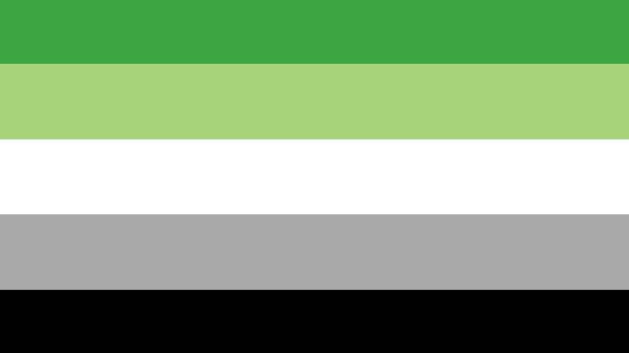 A bandeira arromântica apresentam faixas em dois tons de verde, um claro e um escuro, para se opor ao rosa (que representa romantismo); o cinza e o preto representam pessoas assexuais e não assexuais; o branco representa os relacionamentos platônicos