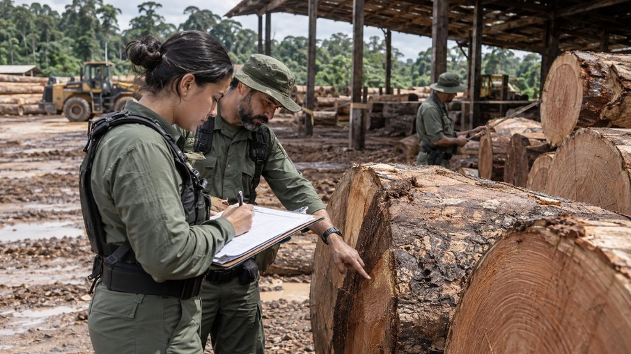 Ibama aplicou R$ 381 milhões em multas à Gethal Ibama aplicou R$ 381 milhões em multas à Gethal