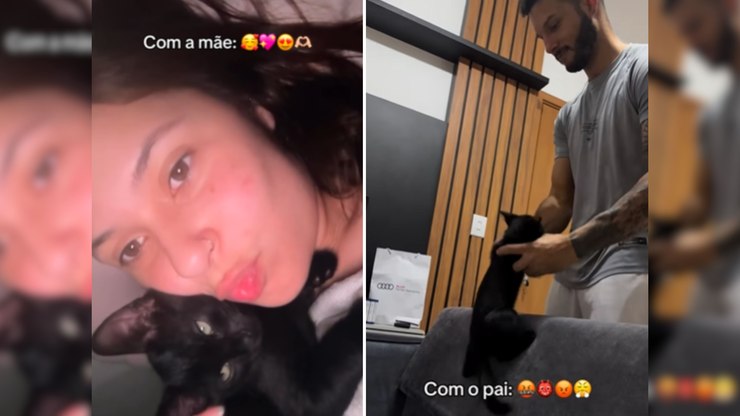 Gato muda de personalidade com pai e mãe e viraliza
