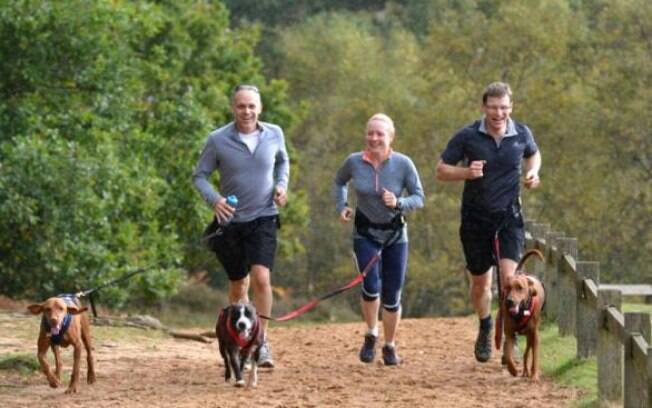 Canicross é um esporte ótimo para os cães corredores