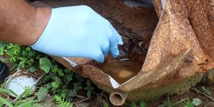 Dengue: Campinas tem 33 bairros com alto risco de transmissão