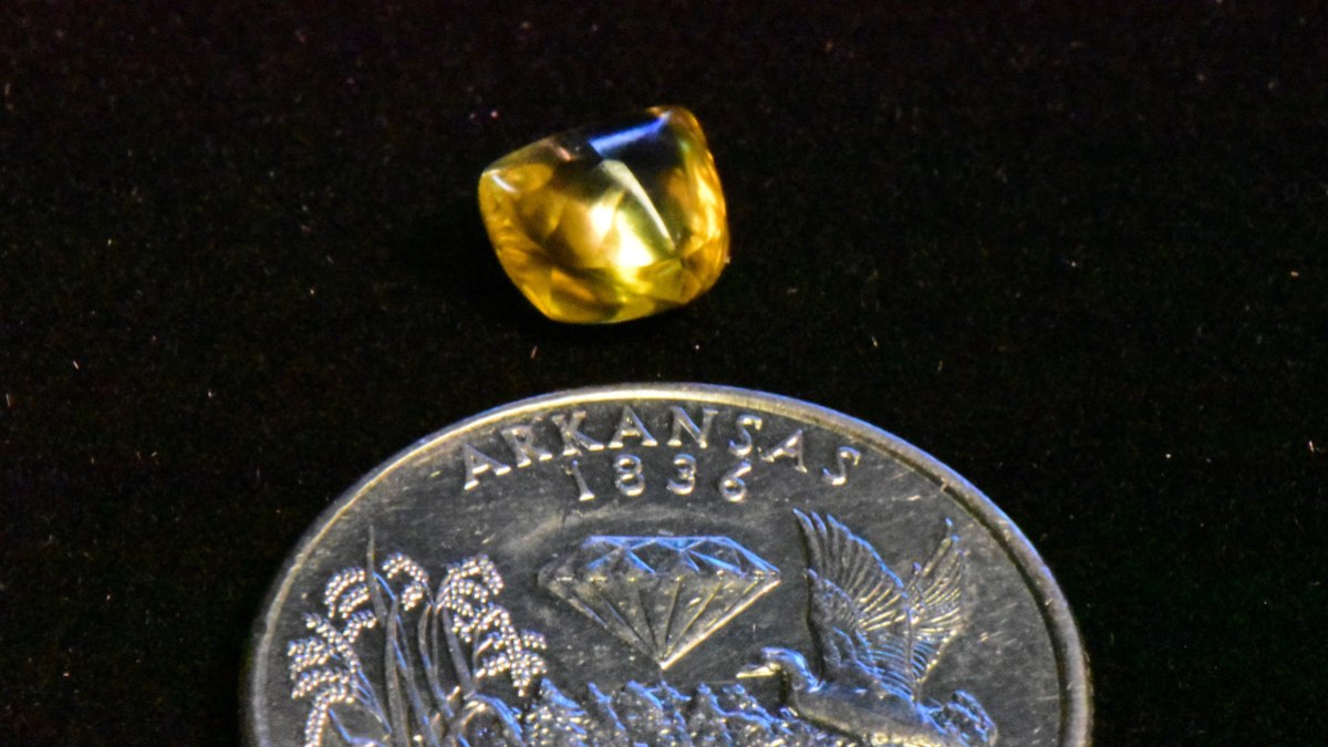 Avô acha diamante amarelo de 2,29 quilates em passeio com netas
