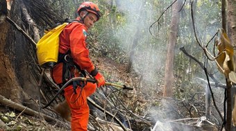 Helicóptero cai e deixa 4 mortos na Vista Chinesa no Rio