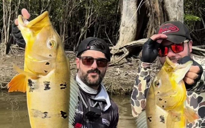 Peixe é conhecido pela beleza, tamanho e comportamento que dificulta a captura Peixe é conhecido pela beleza, tamanho e comportamento que dificulta a captura