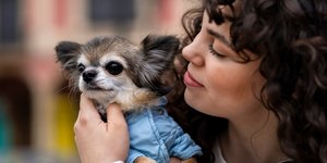 Como funciona lar temporário para cães e gatos; voluntárias explicam