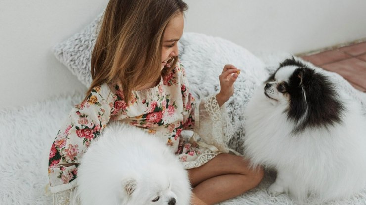 Pelos de animais pela casa? Veja dicas para resolver de vez