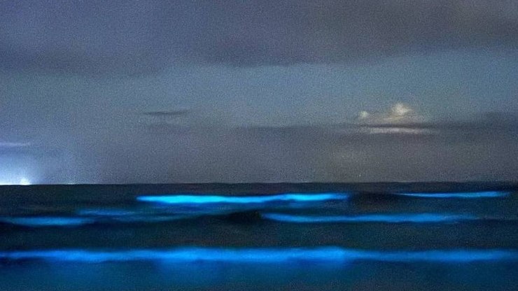 Bioluminescência cria espetáculo de brilho no mar; saiba onde tem no Brasil