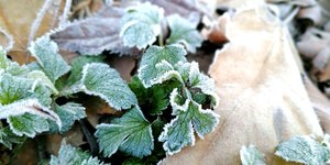 Frio de volta: massa de ar frio já tem data para chegar