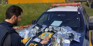 Homem é preso com insumos para munição na Régis Bittencourt