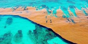 Mar misterioso no Atlântico abriga vida e preocupa cientistas