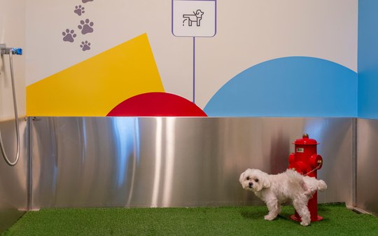 Conheça as curiosidades dos novos banheiros pet nos aeroportos