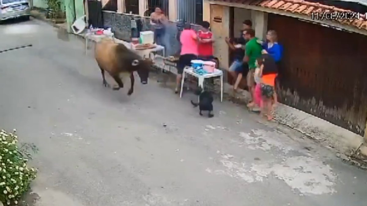 Família tenta fugir e entrar em casa enquanto boi avança contra churrasco