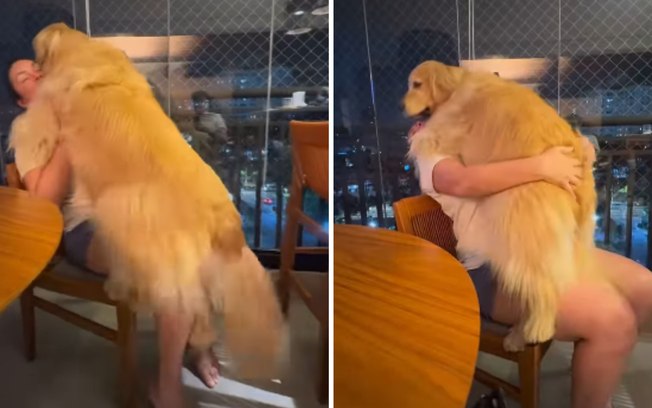 Doopqb3beltca0yvvc59vhu08