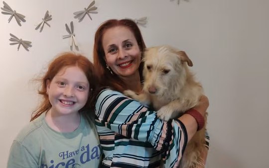 Cachorra que sobreviveu a enchente no RS se adapta em lar em SP