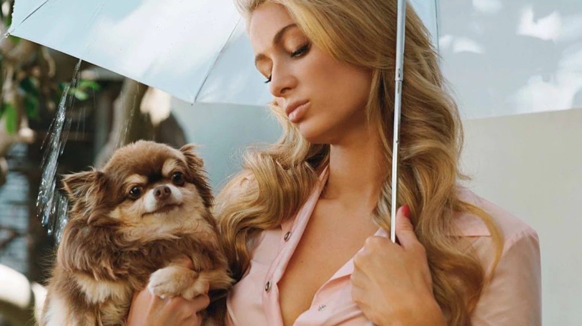 Paris Hilton lamenta morte de cachorrinha de estimação