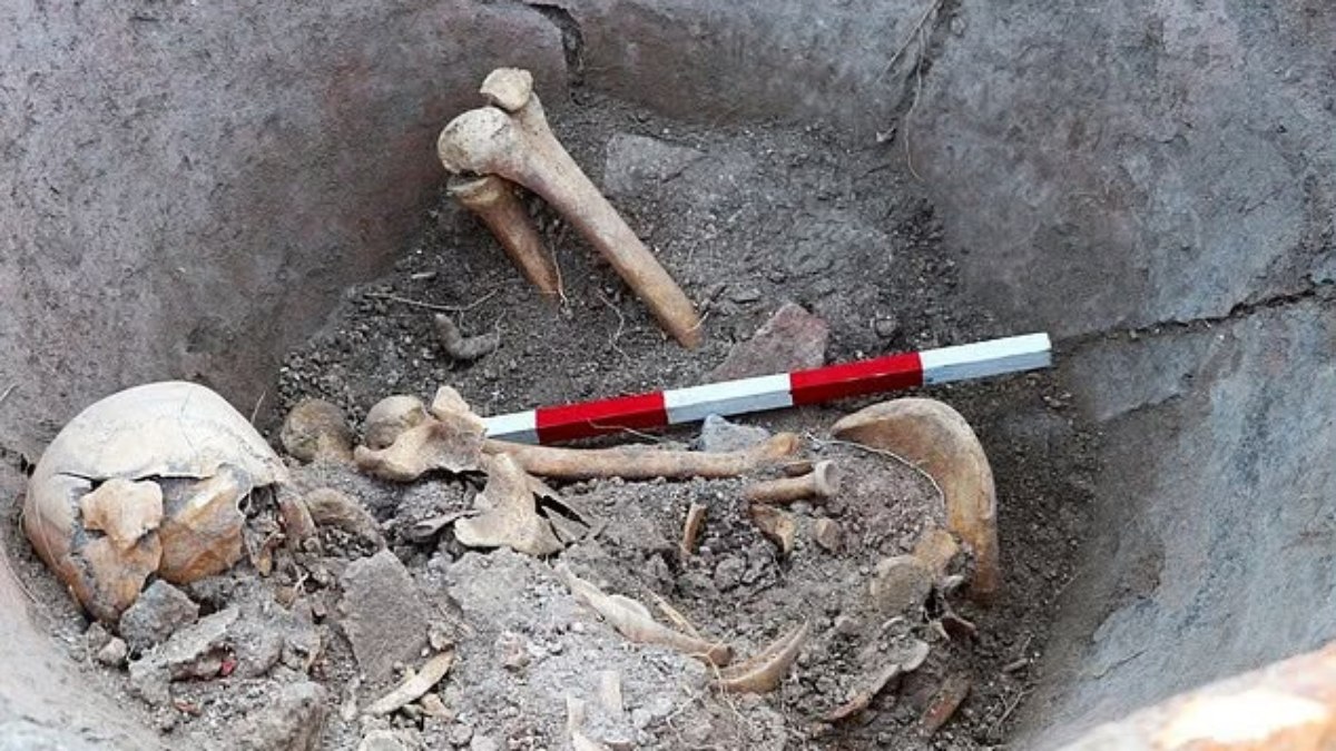 Detalhe do esqueleto dentro do jarro, mostrando a posição encolhida em que o corpo foi encontrado