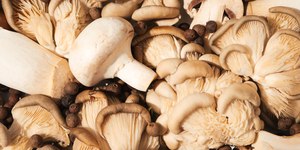 Surto de cogumelos venenosos deixa três mortos
