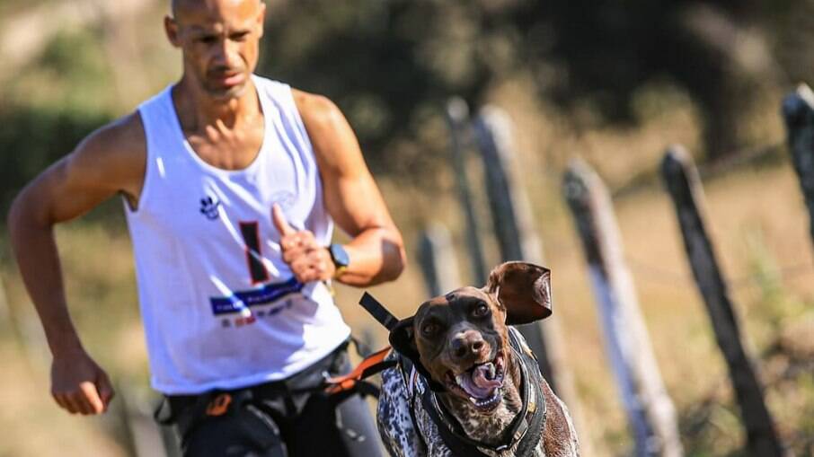Canicross: esporte cross country para praticar com o seu cão 