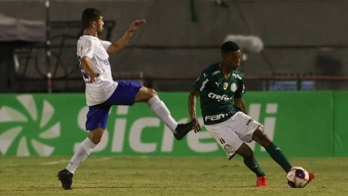 Palmeiras x Santo André: prováveis escalações, desfalques e onde assistir