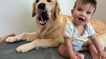 Vídeo: Bebê prefere colo de cachorra ao colo da mãe