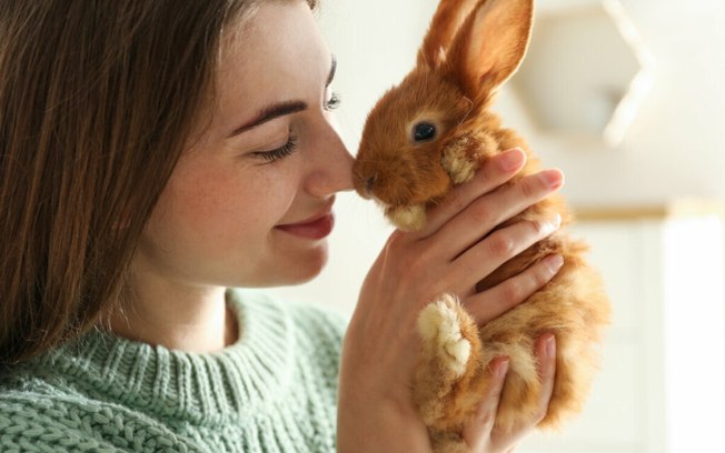 7 coisas que você precisa saber antes de adotar um coelho