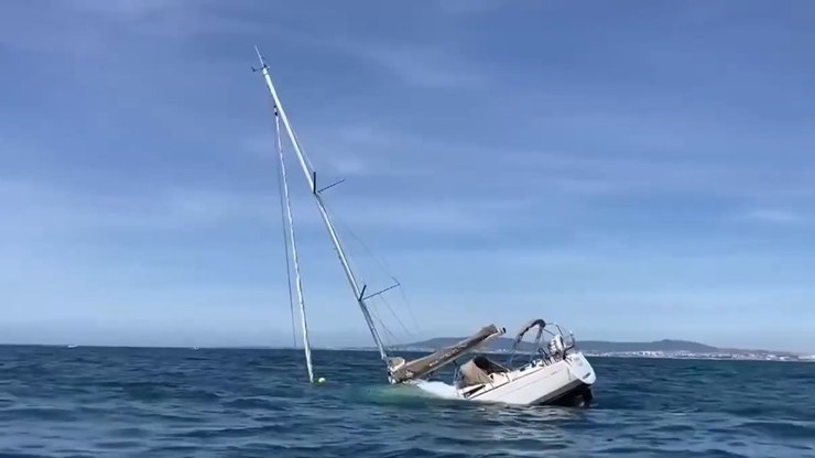 VÍDEO: orcas afundam barco e deixam pessoas à deriva em Portugal