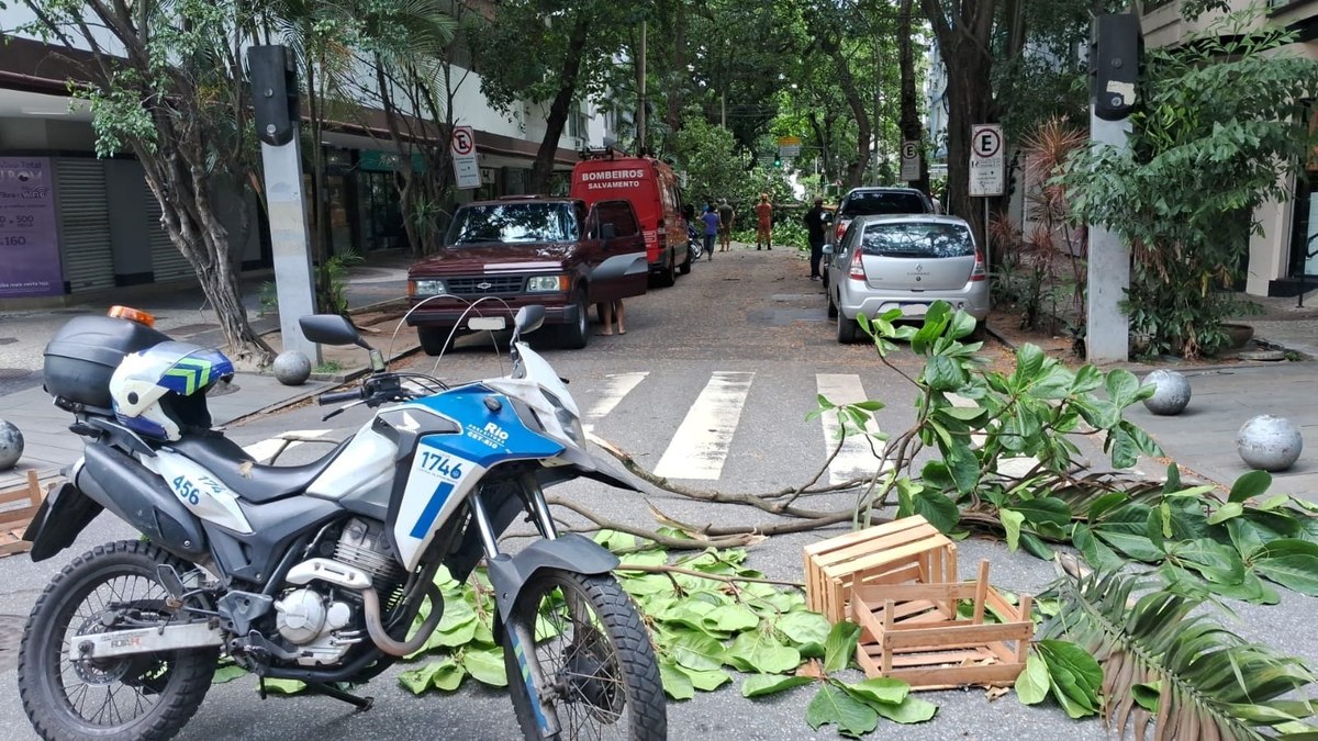 Queda de árvore interdita a Rua Almirante Guilhem, no Leblon. Queda de árvore interdita a Rua Almirante Guilhem, no Leblon.