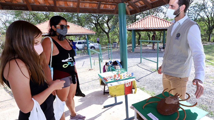 Campinas intensifica ações de conscientização e alerta sobre a febre maculosa