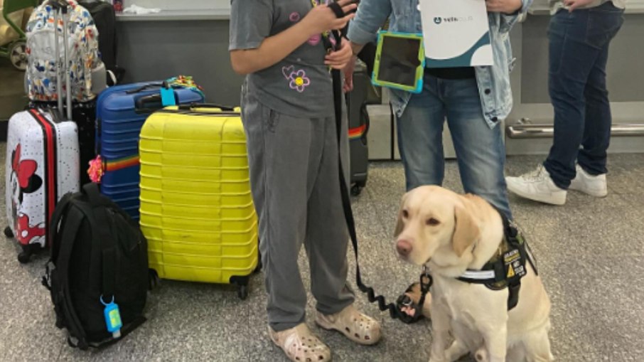 TAP cancela voo após barrar cão de serviço de criança autista no RJ TAP cancela voo após barrar cão de serviço de criança autista no RJ