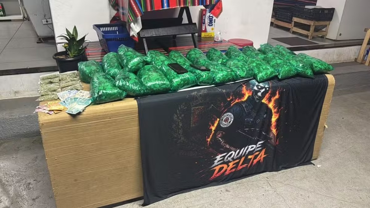 Guarda apreendeu diversos pacotes com folhas de coca em estabelecimento comercial Guarda apreendeu diversos pacotes com folhas de coca em estabelecimento comercial