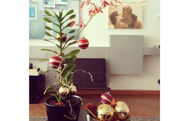 A planta que já temos em casa, nesse caso com belas e delicadas flores vermelhas, dá o tom e a inspiração para os enfeites de Natal