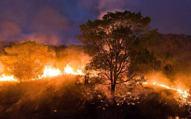 Incêndios no Pantanal em 2020 consumiram o triplo de área que em todo o ano de 2019