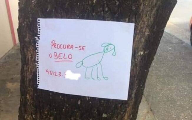 Cartaz feito por Maria Luíza para encontrar o cachorro perdido 