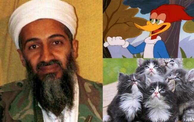 Osama Bin Laden assistia a filmes infantis, propaganda jihadista, pornografia e vídeos de gatinhos