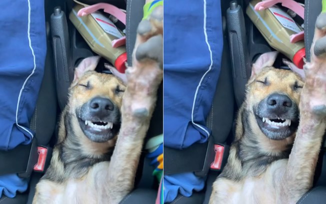 Dsyognf5s9gb3jznxp9lu378g