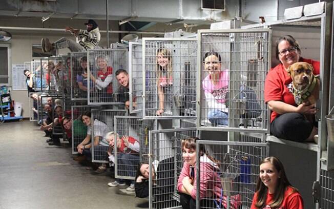 Voluntários compartilham suas fotos tiradas enquanto trabalham num abrigo de animais