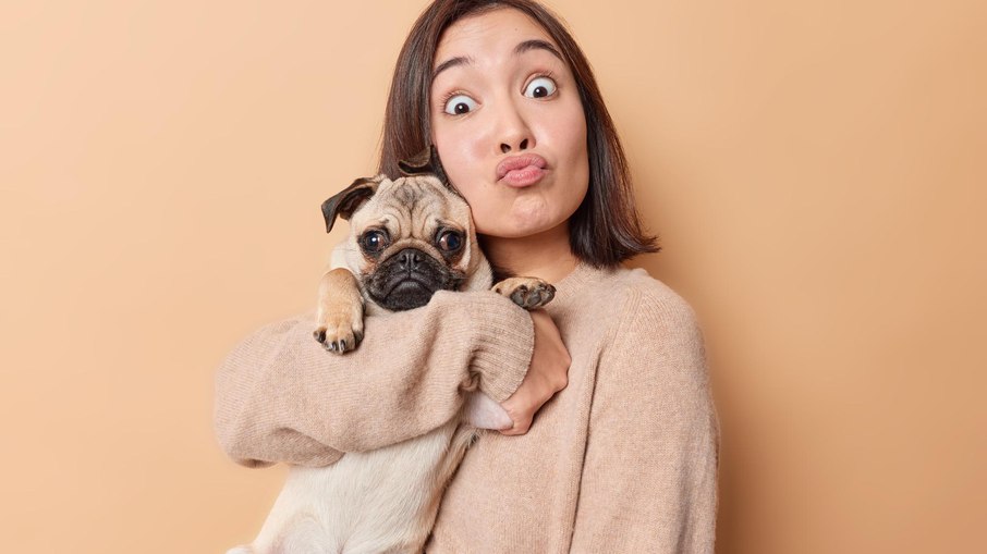 Pug