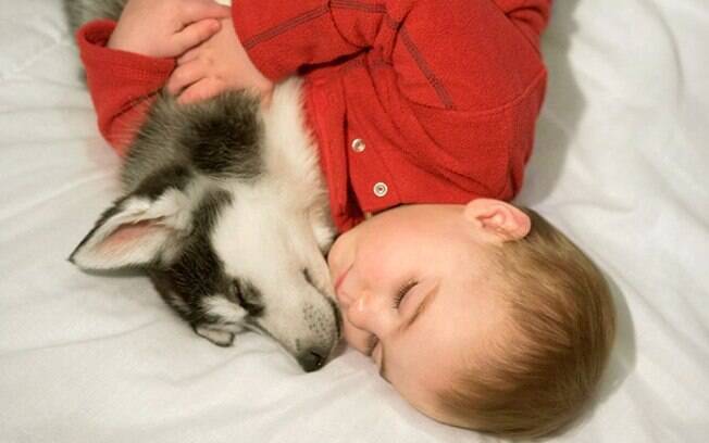 Cachorros fofos e crianças dão boas fotos na hora da soneca