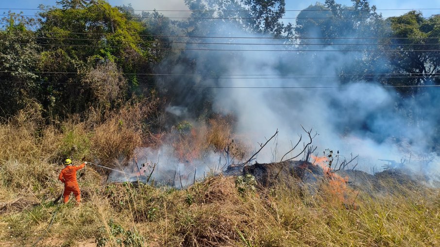 Bombeiros combateram diferentes incêndios em vegetação durante o fim de semana em Goiás Bombeiros combateram diferentes incêndios em vegetação durante o fim de semana em Goiás