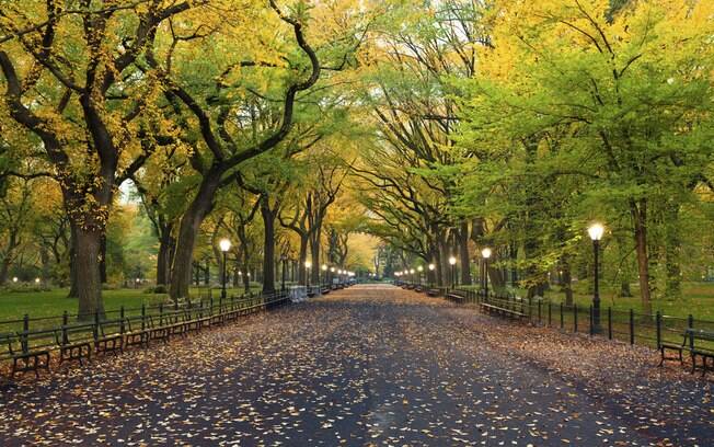 O Central Park, em Nova York, é um dos pontos turísticos mais populares na cidade O Central Park, em Nova York, é um dos pontos turísticos mais populares na cidade